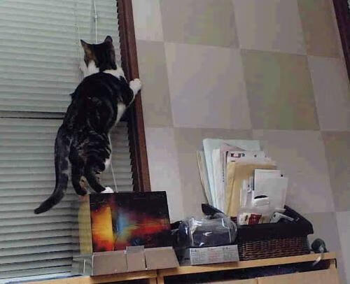 AI辅助训练:提升选手竞技水平的新工具,ai辅助系统