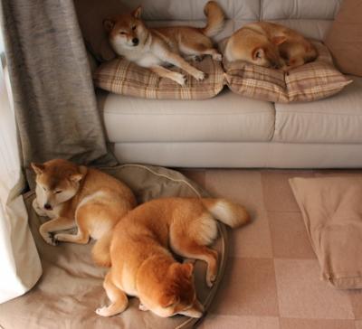 AI驾驶模拟:预测和优化比赛路线,ai驾驶教练