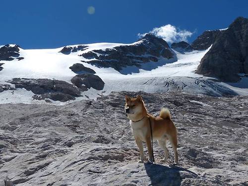 Aliou Drame在2024年巴黎残奥会反曲弓男子复合项目中参赛,奥运会反曲弓价格
